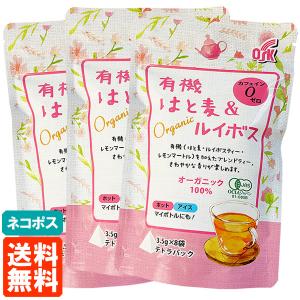 砕石茶 さいせきちゃ 100g(5g×20包) 健康大陸 CHANCA PIEDRA TEA 送料