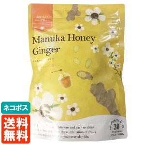生活の木 おいしいハーブティー マヌカハニージンジャー 30TB  