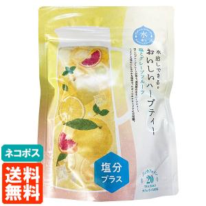生活の木 水出しできる。おいしいハーブティー 塩とグレープフルーツ 4g×20TB  ネコポス