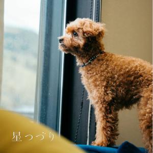 【手元供養】ペット供養|遺骨を納めるネックレス...の詳細画像4
