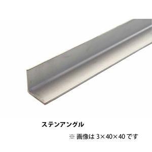 ステンレス製 未研 等辺アングル L4×50×50×1m 材質SUS304（普通の 
