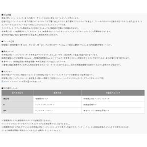 ◇トーヨーコーケン 二本掛ベビーホイスト 無線...の詳細画像2