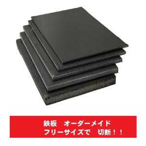 普通鉄板 寸法切り 板厚 2.3mm 御希望の寸法で切断します サイズ 普通鉄板 寸法切り 板厚 2.3mm 御希望の寸法で切断します サイズ