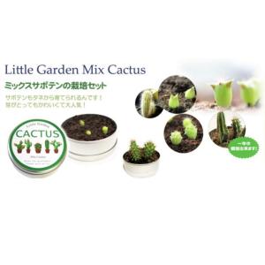 栽培セット　ミックスサボテンの栽培キット　Little　Garden　Mix　Cactus　自由研究　夏休み　室内栽培　