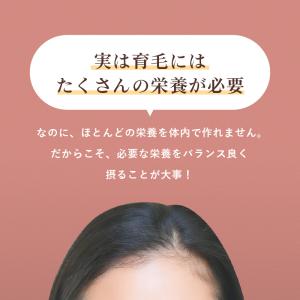 【クーポンで最大25%off】飲む美容補給 美...の詳細画像4