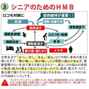 ゲリラセール 【クーポンで最大25%off】 ...の詳細画像5