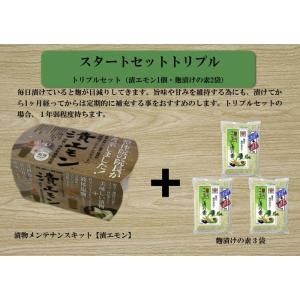 漬物と液体塩麹が出来る「漬エモン」＋麹漬けの素３個　滋賀県ご当地モール
