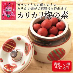 カリカリ梅の素 70g (梅500g用) メー...の詳細画像1