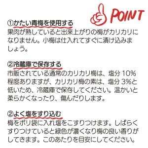 カリカリ梅の素 70g (梅500g用) メー...の詳細画像3