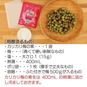 カリカリ梅の素 70g (梅500g用) メー...の詳細画像4