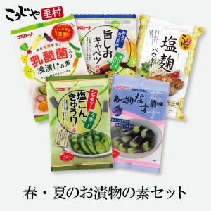 【送料無料】夏のお漬物おためしセット 漬け物の素｜甘酒・米麹・ぬか床のこうじや里村