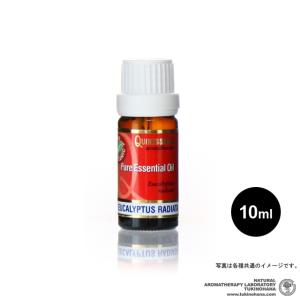 気質アップ Quinessence精油 ジュニパー10ml