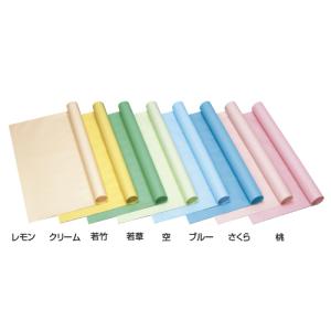 色模造紙 中厚口（10枚） ブルー ゴークラ  教育施設限定商品