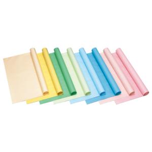 色模造紙 中厚口（10枚）黒  ゴークラ  教育施設限定商品