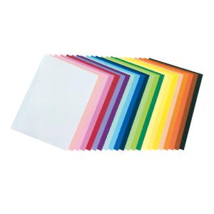 エンジョイカラー ライトピンク ゴークラ  教育施設限定商品