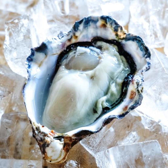お歳暮 生食用殻付き牡蠣 惑香( まどか）20個 生食牡蠣 濃厚 一口サイズ 通年出荷 プリプリ オ...