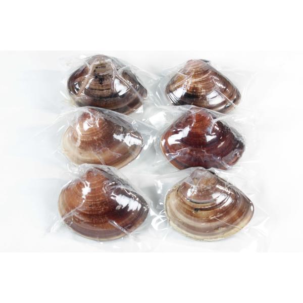 お中元 節句 10年もの桑名産はまぐり6粒入（レトルト） 桑名 天然はまぐり レトルト 蛤