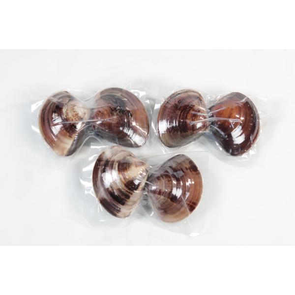 お中元 節句 5年もの桑名産はまぐり２粒入×３個（レトルト） 桑名 天然はまぐり レトルト 蛤