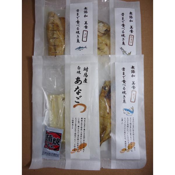 お中元 干物 長崎対馬 骨まで食べる焼き魚 あじ開き かます開き さば 白焼きアナゴ 焼き魚