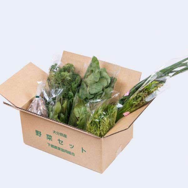 お歳暮 お中元 下郷農協の旬の野菜8品目 有機栽培野菜 野菜宅配 下郷農協 有機栽培 こだわり おい...