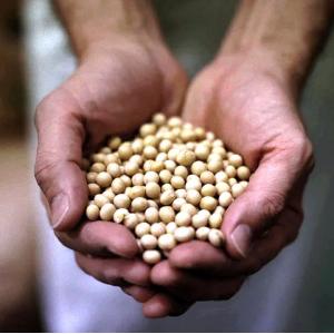 お歳暮 まぼろしの厚揚げと濃厚豆腐、湯葉セット...の詳細画像5