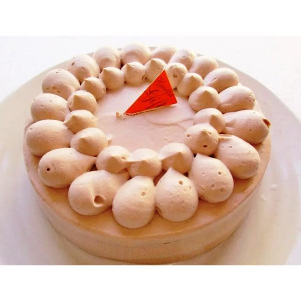 母の日 卒業祝 入学祝 たんぱく質を控えた冷凍ケーキチョコレートケーキ4号 優しい美味しさ 植物性ク...