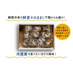 父の日 お中元 山口県産さざえ2kg さざえ さざえ刺身 さざえつぼ焼き 贅沢 BBQ バーベキュー