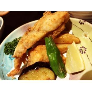 お中元  国産天然まふぐ唐揚げ 天然フグ 唐揚げ 父の日