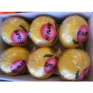 パール柑 熊本産 訳あり 20kg ［10kg×2箱］ 送料無料 九州 熊本