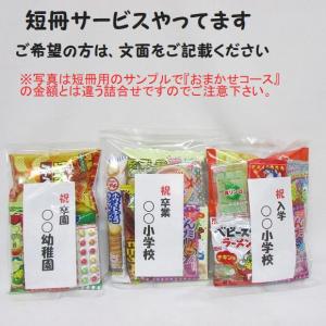 お菓子詰め合わせ300円 子供会用おまかせコースポイント2倍 駄菓子