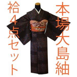 喪服 着物 夏物 絽黒紋付 絽着物 黒共絽帯 絽長襦袢 3点セット お