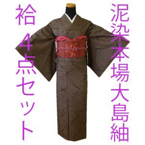 喪服 着物 夏物 絽黒紋付 絽着物 黒共絽帯 絽長襦袢 3点セット お
