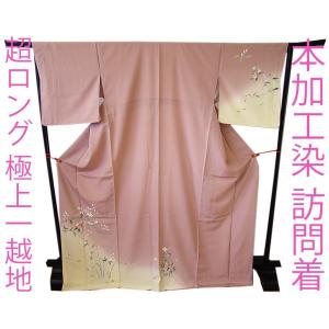 平和屋着物○訪問着 刺繍 草花文 暈し染め 金銀彩 正絹 逸品  