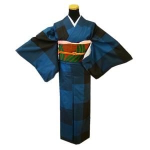 K-2529 単衣 染大島紬 訪問着 グラデーションに花柄の刺繍 銀灰色