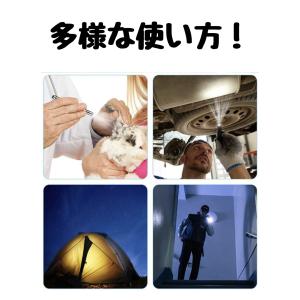 看護師 クリップスイッチ 医療用 ペンライト ...の詳細画像4