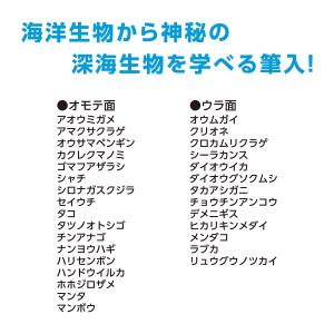 クツワ ペンケース 筆箱 マグネット 2ドア ...の詳細画像2