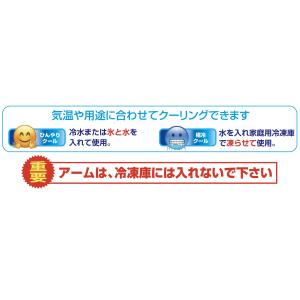 在庫あり 氷のう アイスストロング IS-00...の詳細画像3