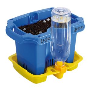 植木鉢 うけざら 水まきキャップ付 小学校 小学生 理科 みずやり
