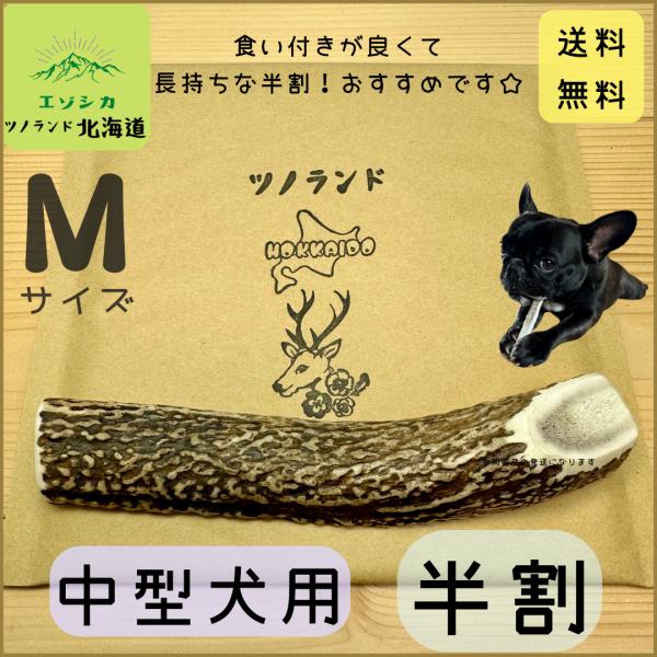 中型犬用 鹿の角 Mサイズ半割1本 ガジガジくん 犬のおもちゃ