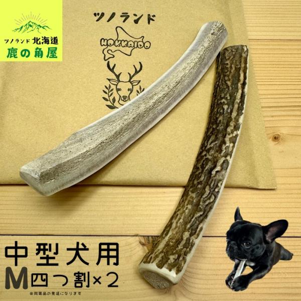 中型犬用 鹿の角 Mサイズ四つ割2本セット ガジガジくん 犬のおもちゃ