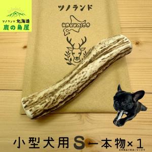 ガジガジ大好き【白い歯♪】人気の鹿ドライボーン人気商品 鹿角ドッグガム（Sサイズ） – OISHIKUTE