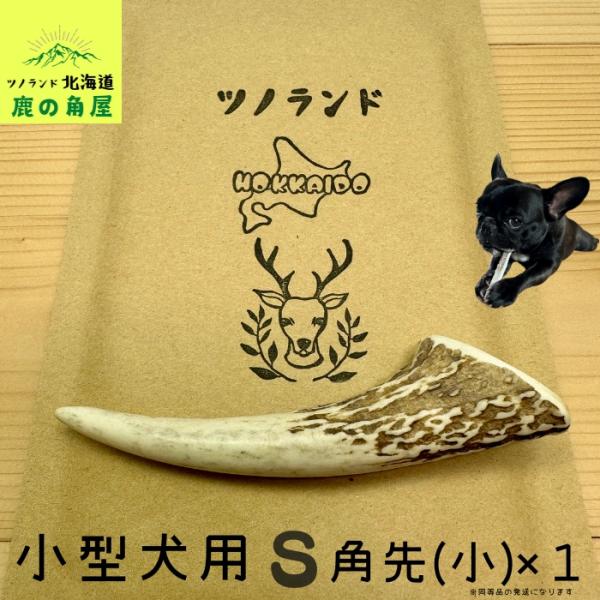 小型犬用 鹿の角 Sサイズ角先小1本 ガジガジくん 犬のおもちゃ