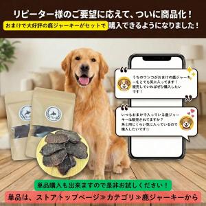 小型犬用 鹿の角 Sサイズ四つ割2本セット ガ...の詳細画像4