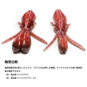 ISSEI 一誠 ジャコバグ パワー POWE...の詳細画像4