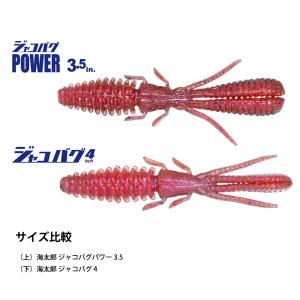 ISSEI 一誠 ジャコバグ パワー POWE...の詳細画像5