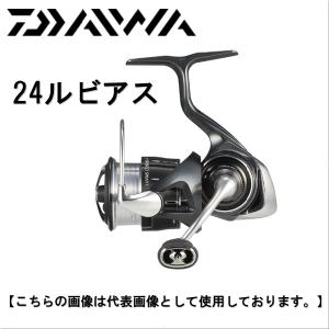 DAIWA（釣り） ダイワ 24 ルビアス LT3000-H (2024年モデル