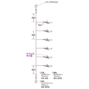 ハヤブサ 6本鈎 実戦サビキ20 ケイムラサバ...の詳細画像1