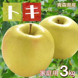 りんご リンゴ 林檎 ringo 数量限定 2026年産 青森県産りんご 青森りんご ご家庭用 訳あり トキ とき 3kg (約9玉〜15玉入り) 産地直送 工藤農園