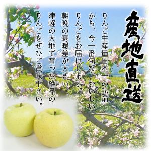 りんご リンゴ 林檎 ringo 数量限定 2...の詳細画像1