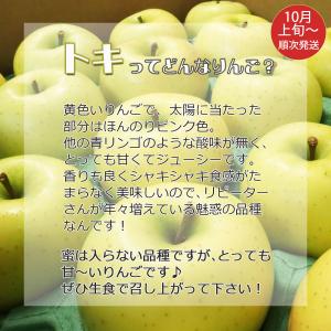 りんご リンゴ 林檎 ringo 数量限定 2...の詳細画像2